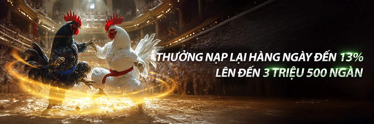 Các bước đăng ký và tham gia đá gà 3kp88